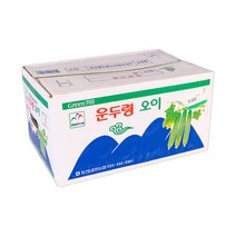 조선오이 천연 오이소박이 오이지 백오이 비타민C 다다기오이 백다다기오이 오이냉국 오이김치 상50입, 단품, 단품