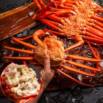 속초 자숙홍게 3kg 22년 11월제철 동해안 산지직송 경북 포항 강원도 속초 시세 찐홍게 주문 택배 배송 수율좋은 싱싱한 품질좋은 살이꽉찬 자연산 홍게찜, 프리미엄 8~9마리 내외(약 3kg)