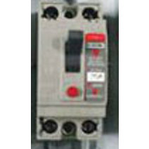 동아 DEN32AL 30A 동아전기공업 ELCB 2P 30A AC220V 2.5KA