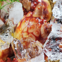 통영 생물 활멍게 최상급 횟감용 2kg 3kg 5kg 오전 10시전 주문건 당일발송