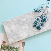직사각 천연대리석 마블 트레이 비앙코카라라 300_150 집들이선물-72394EA, G_ 본상품선택, G_ 본상품선택