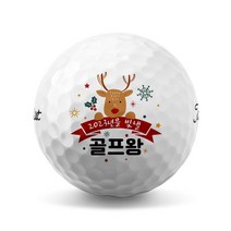 40 크리스마스 선물 골프공 로고 인쇄 소량 제작 (6구), 브리지스톤 투어 B XS 6구 화이트, D