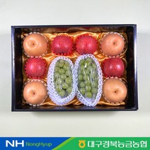 [대구경북능금농협] 샤인혼합 과일세트 5kg(사과4입+배4입+샤인2입)