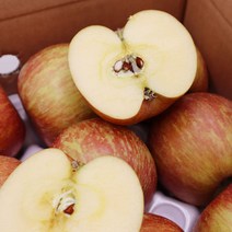 경북 영천 청송 꿀사과 부사 못난이 흠집 주스용, 경북 꿀사과 2kg(정품/소과/11~13과)
