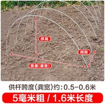새로운 작은 아치 브래킷 야채 창고 기둥 분야 단열 FRP 단단한 유리 섬유 농업 묘목, 10개, 두께 5mm - 길이 1.6m