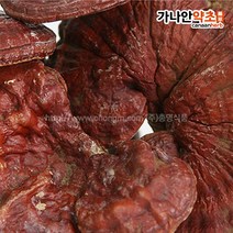 가나안허브 자연산 영지버섯 500g, 1개