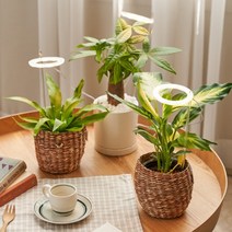 LED 식물등 식물 생장등 성장 조명, 1개