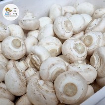 야과몰 국내산 부드러운 영양만점 양송이 버섯 2kg 식자재 도매 시장 새벽경매 후 발송, 1개