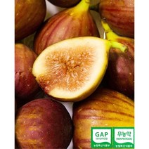 무농약 GAP 함평 무화과 홍무화과 청무화과, 홍무화과 1kg, 1박스