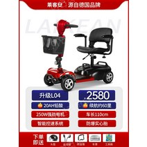 노인전동차 전동카 어르신 소형전기차, 24V, 20Ah 납산 60마일250W