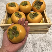 새마을총각 단감 5kg 10kg 대추단감 땡감 진영 부유, 5kg 24개 내외 (대)