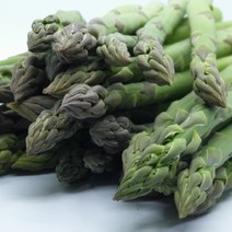 강원도 춘천 생 아스파라거스 (굵기골고루) 1kg