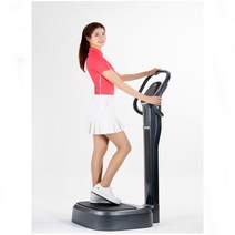 비에스소닉 음파 토탈 바디 케어기 전신 진동 운동기구 SW-VHBS, 비에스소닉 SW-VHBS(SW-BSSC)
