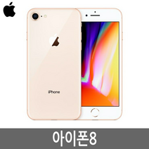 아이폰8 iPhone8 64G/256G 정품, 아이폰8 64GB B급, 스페이스그레이