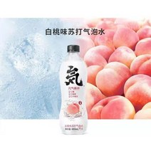 연소중국식품 웬치썬린 스파클링 복숭아맛 480ml 한개 한박스, 480ml 1개