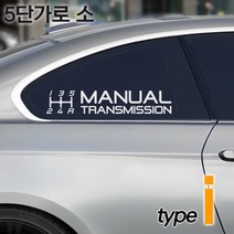 디엑셀 수동스티커 12종 I 수동변속기 튜닝데칼, 라이트실버