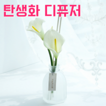 탄생화 디퓨저 선물 세트 10월 탄생화 카라 남자 친구 여자 친구 남사친 여사친 언니 선생님 직장동료 생일선물 집들이선물 결혼선물 실내 디퓨저 실내 방향제 디퓨져, 화이트머스크, 120ML