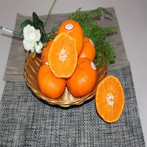제주도 레드향 (선물용)8~10수 3kg 1 박스 자연대로팜웨이, 레드향(8-10)3kg