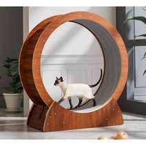 Dorcot 고양이 캣휠 무소음 반려동물 운동 캣워크, S