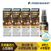 푸드버킷 프로폴리스 스프레이, 4개, 30ml