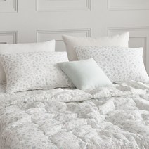 SESA 롤린 사커 홑베개커버 50X70