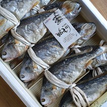 [산지직송] 영광법성포굴비 부세보리굴비 27cm 28cm 30cm내외 5미 10미 추석 설선물세트, 1box, 27cm 내외 10미