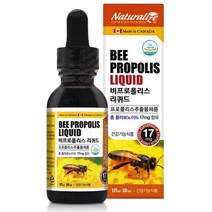 비 프로폴리스 리퀴드 액상 플라보노이드 캐나다 프로 푸로 플로 폴리스 포리스 30ml