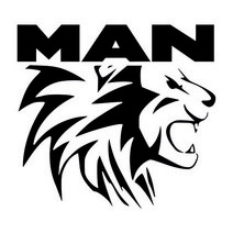 마이웨이카 만트럭 MAN 사자 로고 데칼 튜닝 홀로그램 대형 덤프 트럭 스티커 3, 좌측, 소형