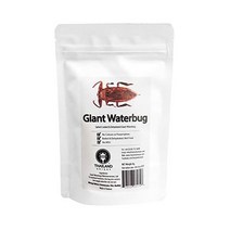 곤충식 타거북 Giant Waterbugs 8g TIU0012