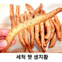 세척 햇생지황 금산 세척생지황 600g, 생지황600g, 세척원하지않아요(x)
