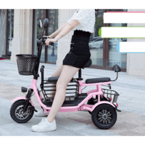 3륜바이크 삼륜 전기오토바이 2인승 노약자 전기차, 클라이밍모델/리튬11A/40km/2인승/48V