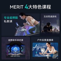 스핀바이크 스피닝 실내 싸이클 Merrick Spinning Bike Juying cc 버전 홈 울트라 조용한 미니 체육관 전용 프로젝션 스크린 MR-667, [04] Jueying CC Shuttle Editio