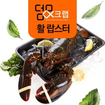 덤앤크랩 캐나다 자사 직수입 항공직송 활랍스터, 1box, 1.5kg x 1