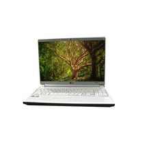 겨울 중고노트북 인강용 기본 게임용 LG R510 고급, 04-LG R510 고급, 윈도우7, 4GB, 250GB, 인텔 코어2, 블랙화이트랜덤