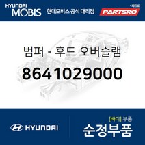 범퍼-후드(본네트) 오버슬램 (8641029000) 현대모비스 부품몰 쏠라티 그랜저TG 그랜저HG 베르나