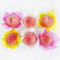 물빠짐 없는 과일 포장지 화지 습자지 색화지 복숭아 곶감 한라봉 사과 포도 포장재 과일바구니 식품 호두과자 포장지, 3.해바라기형 노랑(500매)