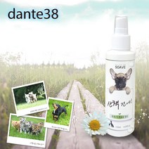 고양이 사상충약 120ml 강아지 진드기 퇴치제 제충국 살충제 제거제 기피제 스프레이