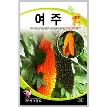 여주 10립 / 여주씨앗 여주종자, 1개