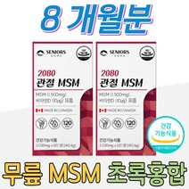 관절에좋은 영양제 MSM 초록입홍합 무릎 연골 콜라겐 직장인 회사원 계단 무릎관절 관리 할머니 할아버지 발목 허리 어깨 관절 보스웰리아 NAG 글루코사민 식이유황