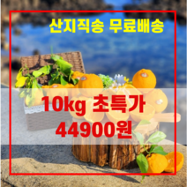 제주 서귀포 일품 한라봉 3kg 5kg 10kg 선물용 가정용 명절 선물, 5kg 가정용 중대과(20~25과)