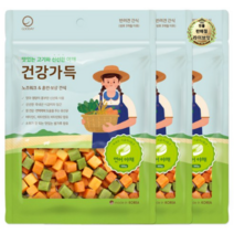 라이브잇 굿데이 강아지 건강가득 간식 300g, 연어 + 야채, 18개, 연어 + 야채