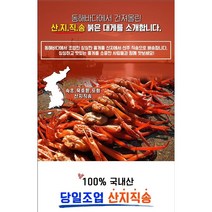 속초 선주직송 홍게 2kg 3kg 생물 또는 자숙(찜) 국물요리용