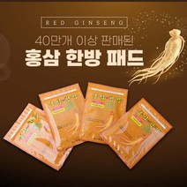 국산 홍삼 한방 파스 건강패드 20매입 5개 (20매x5팩) 총100매