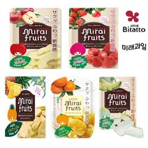 10+1 미래과일 미라이 [한국산] 동결건조 과일칩 5종 택1 11봉, 선택1) 미래과일-딸기칩