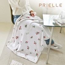쁘리엘르 메리베리 밍크 극세사 담요 75x100P101A01BR040