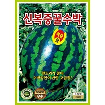 신복중꿀수박 수박씨앗 30립