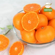 제주에서 온 새콤달콤 노지감귤 3kg, 감귤(중) 3kg