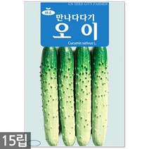 노나다 고추 15립 - 씨앗 씨 고추씨 고추씨앗 텃밭고추 빨간고추 주말농장 텃밭, 04_만나다다기오이(15립)
