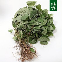 다온약초 강원도 홍천 자연산 삼지구엽초 음양곽, 1개, 50g