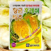 황금배추 골드김장80 500립 황금킹 후레쉬 씨앗 씨 골드바이오 라이코펜, 황금배추후레쉬 500립